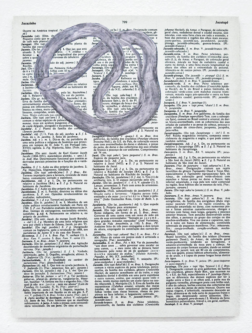 J02_p.799_P1060167_CC