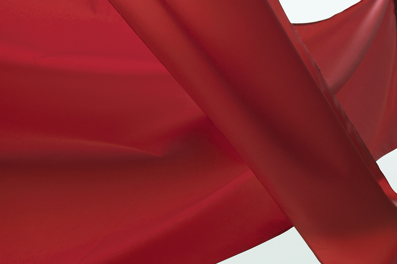 Montage_Darlenes_116a_CG_fundo branco