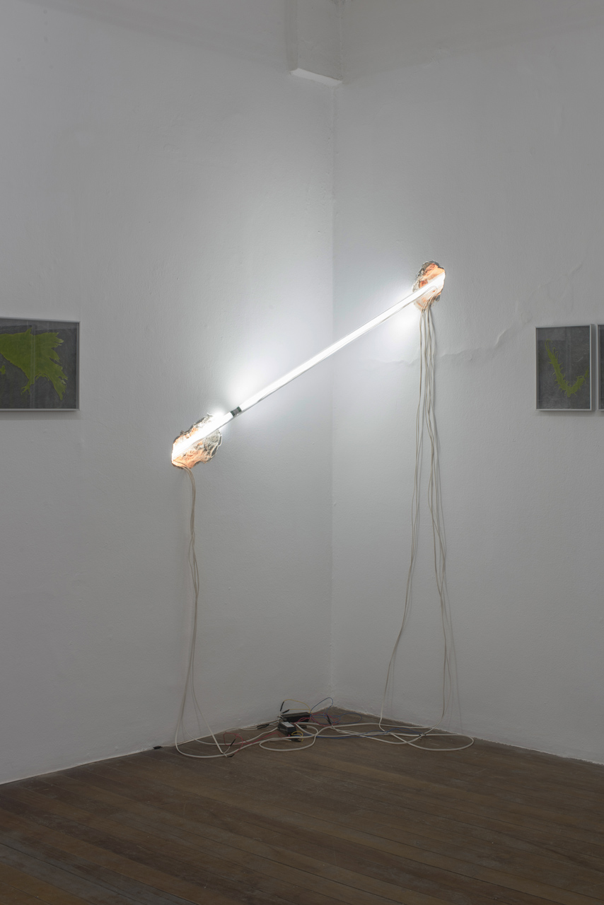 Raio_CG_16_EdouardFraipont