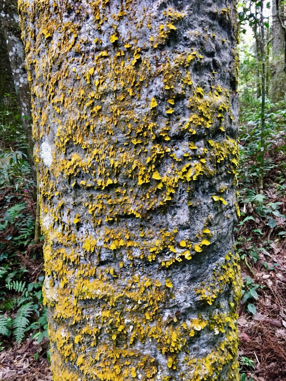 2ca50733-db69-4205-ae59-df56015a2608