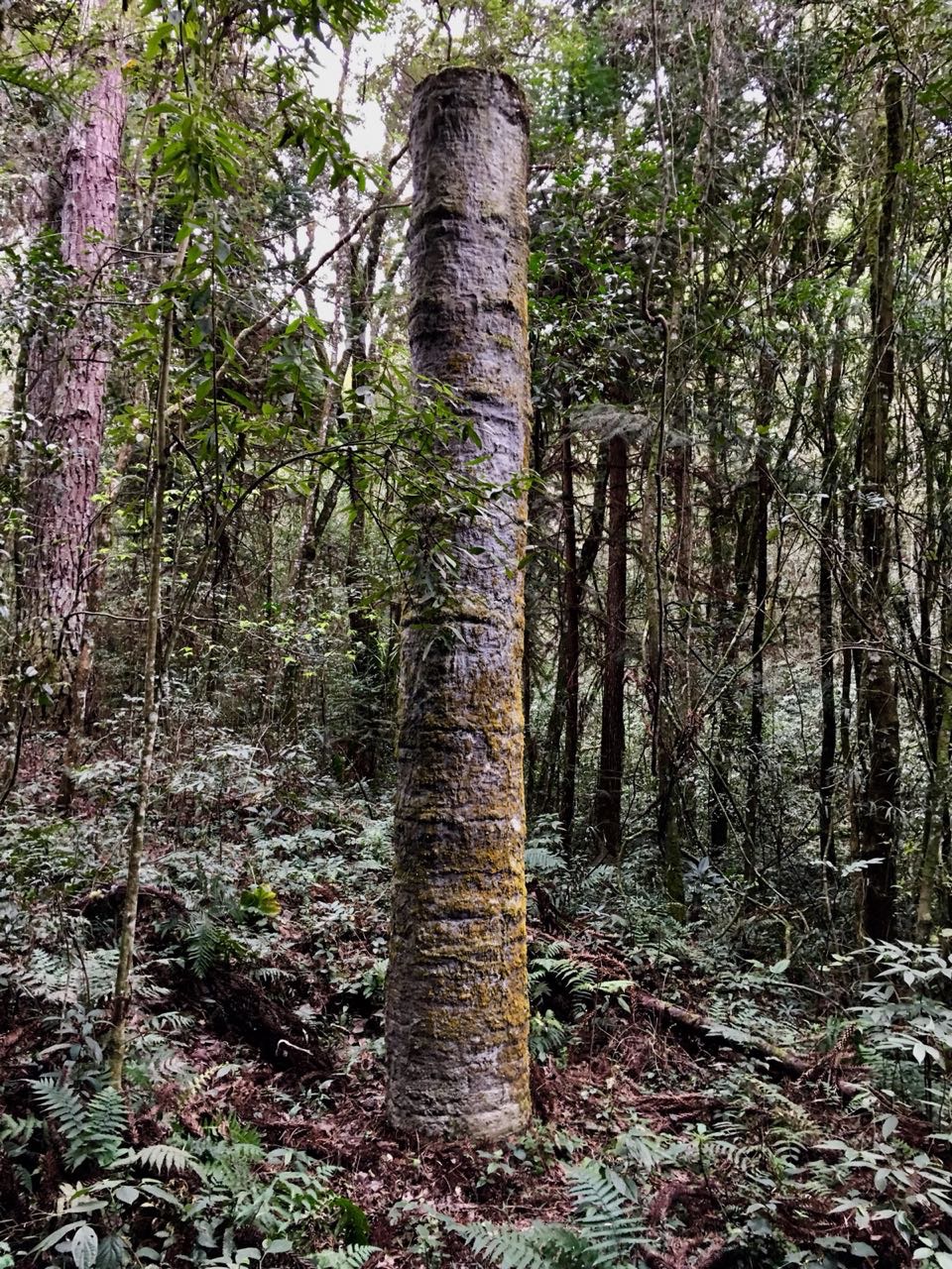 f890dca8-fa68-4552-895e-46b4ca0ec33e